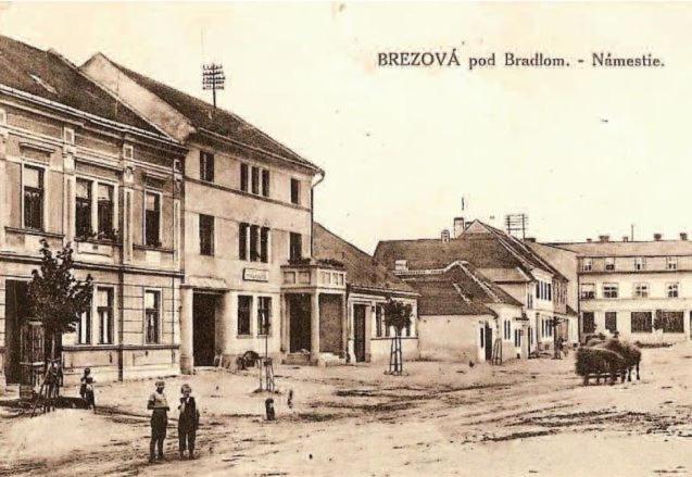 Penzion Tvarozek *** Brezova pod Bradlom Экстерьер фото